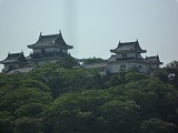 和歌山城.jpg